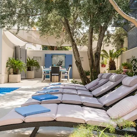 Rex Exclusive * スプリト