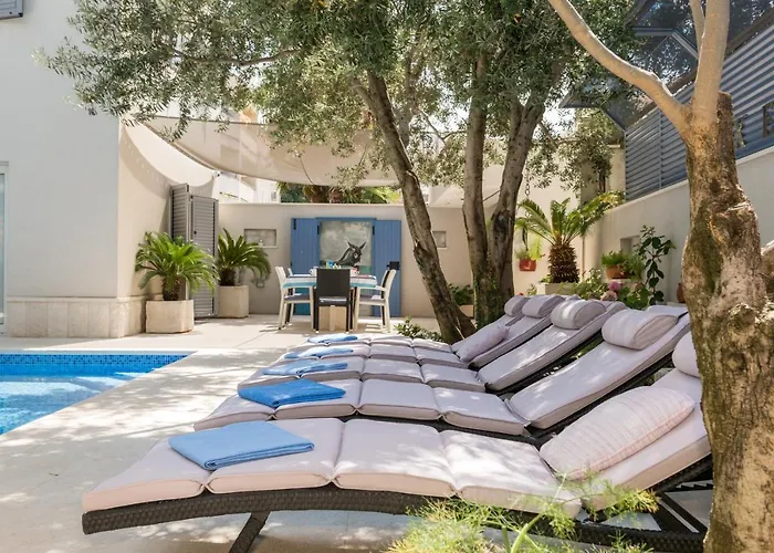 Rex Exclusive * ספליט